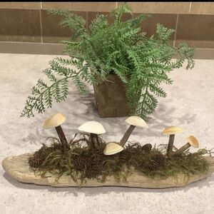 Driftwood Art, Driftwood & Seashell Mushrooms , Mushroom Art